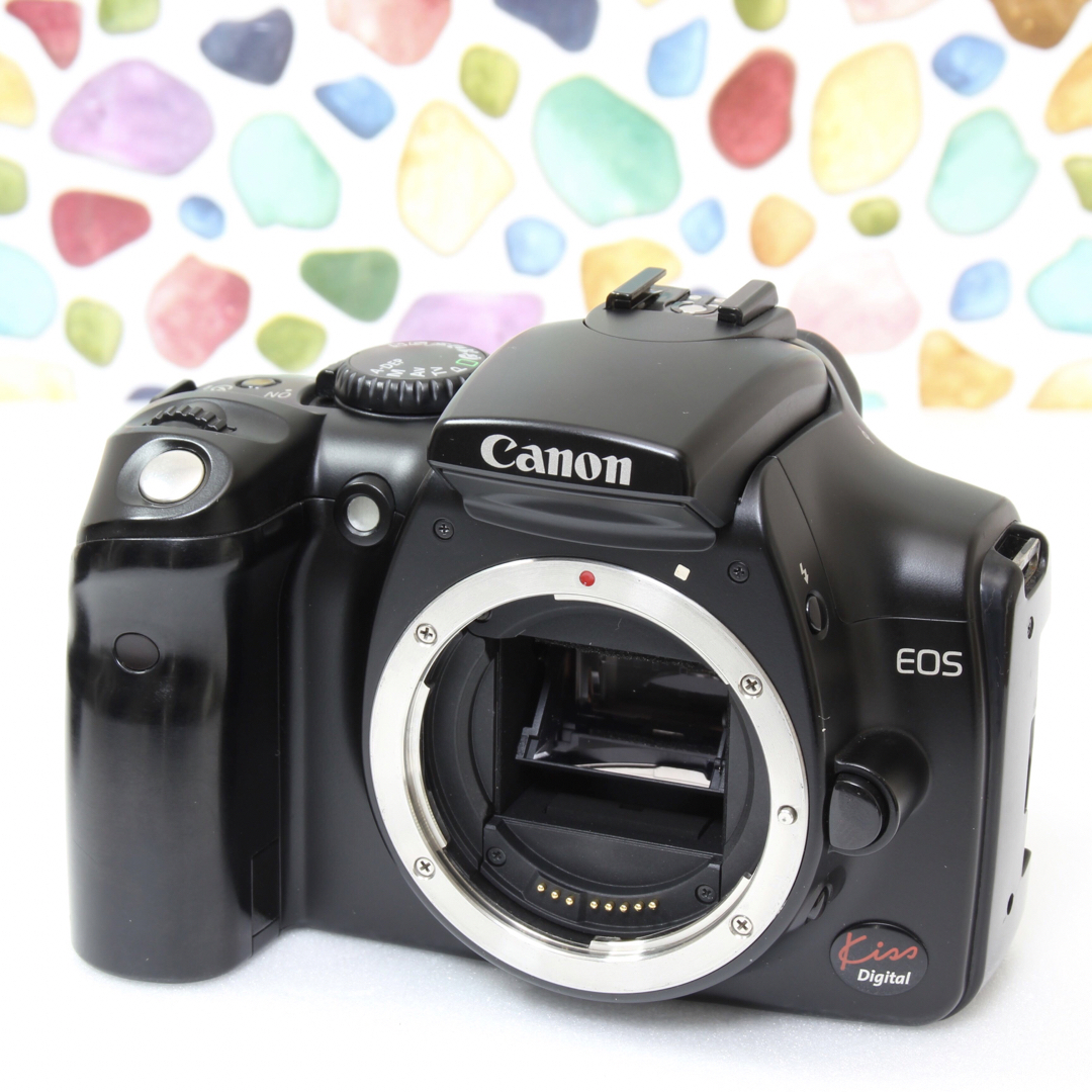 Canon KISS digital 迷ったらこのカメラ-