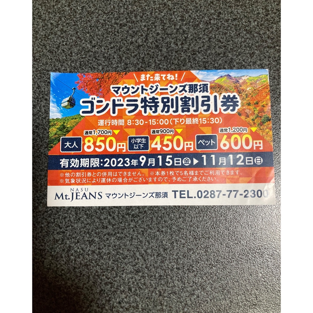 マウントジーンズ那須 ゴンドラ特別割引券 チケットの優待券/割引券(その他)の商品写真