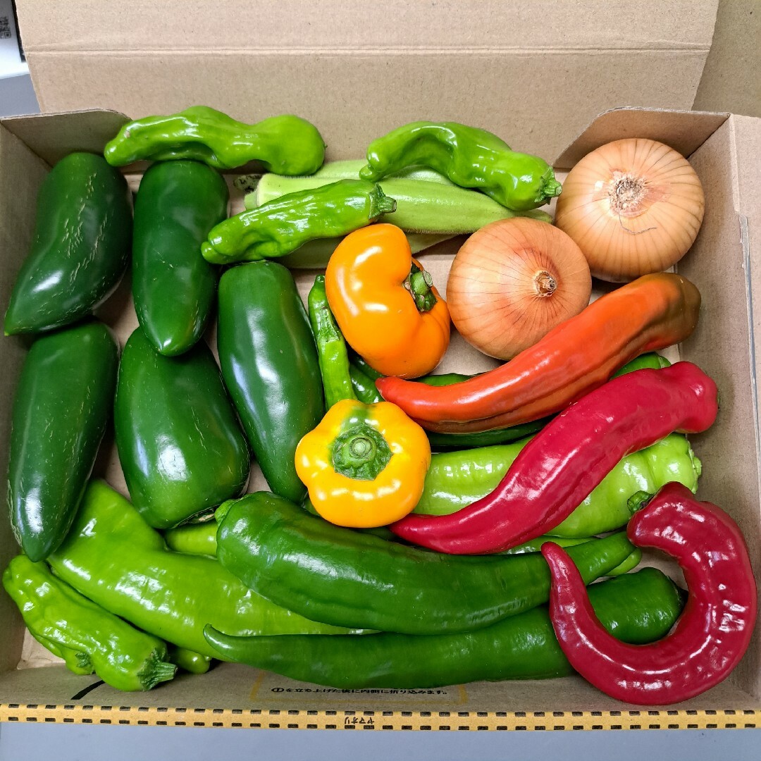 無農薬 野菜セット コンパクト 食品/飲料/酒の食品(野菜)の商品写真