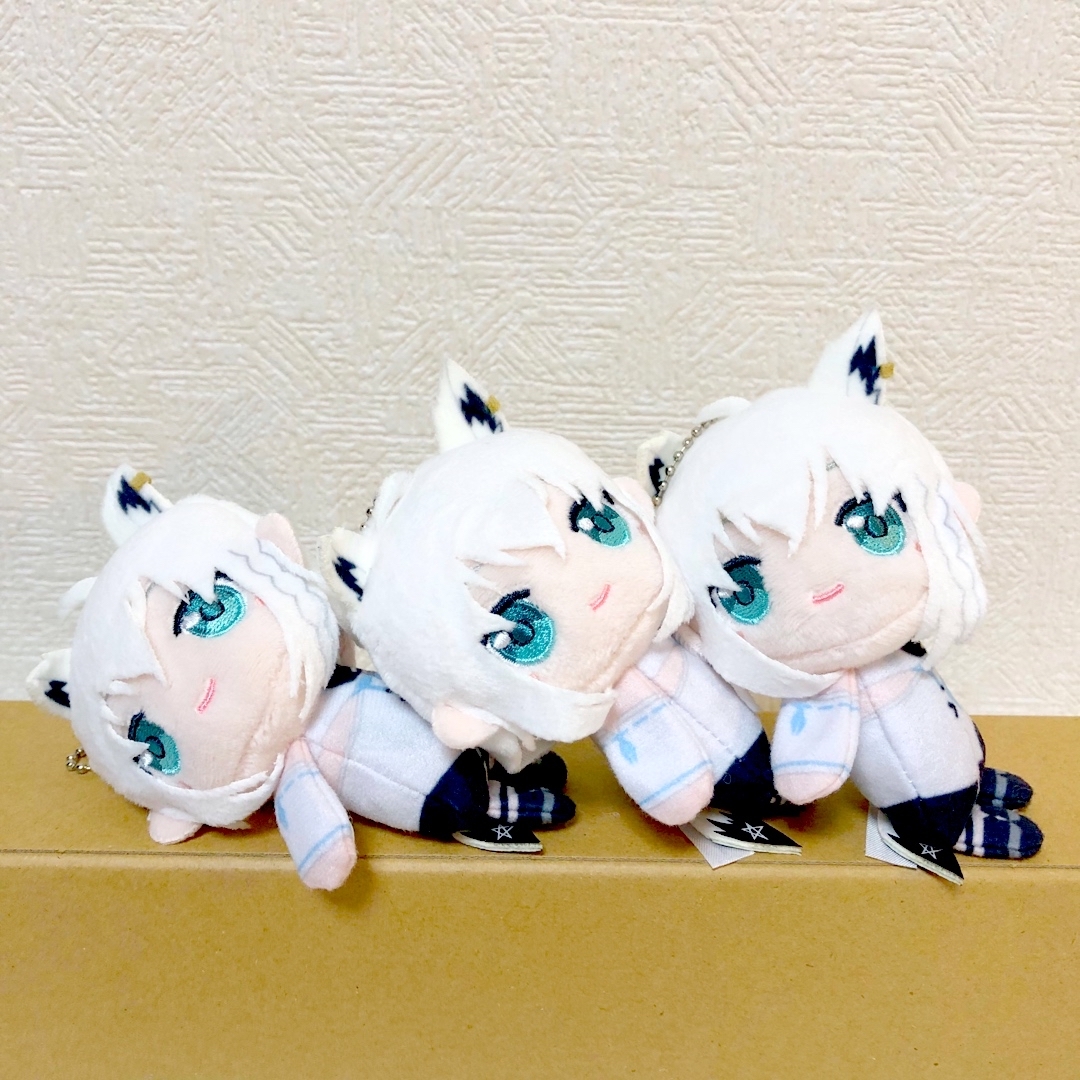 【匿名発送】新品 ホロライブ ててこれ2 白上ふぶき 3点セット ぬいぐるみ | フリマアプリ ラクマ