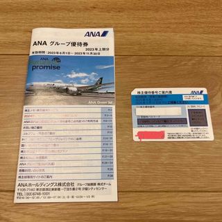 エーエヌエー(ゼンニッポンクウユ)(ANA(全日本空輸))の【匿名配送】ANA 株主優待　100株分　2024年5月31日期限(航空券)