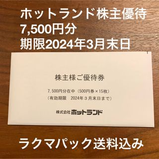 ホットランド株主優待券7,500円分　銀だこ　最新(フード/ドリンク券)