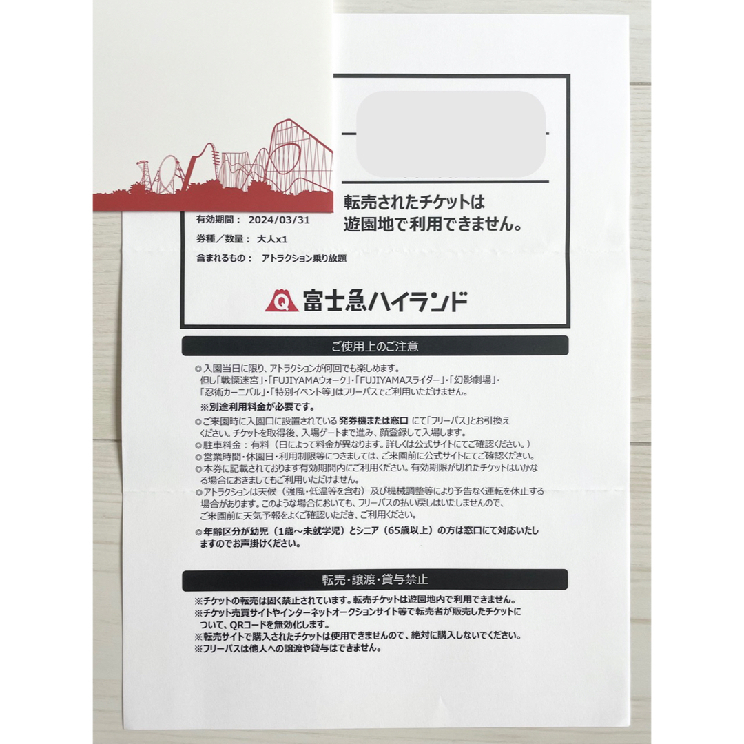 2024/3/31期限 富士急ハイランド ペアチケット 2枚の通販 by nagisa