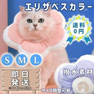 【コーラルL】ソフトエリザベスカラー 術後ウェア 猫犬 皮膚病 雄 雌 撥水防水(猫)