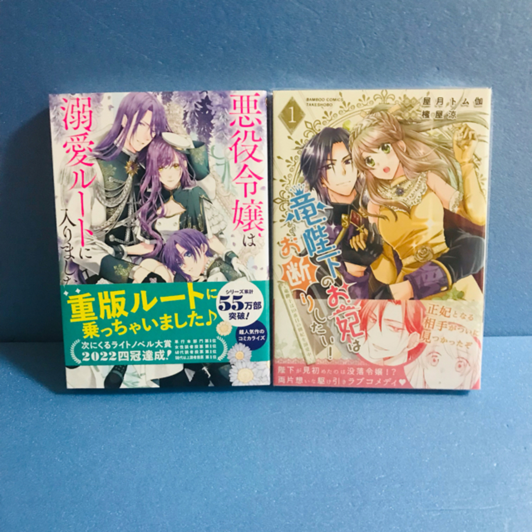 竜陛下のお妃はお断りしたい! 1巻、悪役令嬢は溺愛ルートに入りました