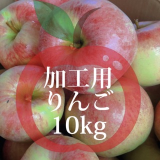 【産地直送】青森県産りんご  10kg(フルーツ)