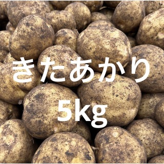 北海道産　キタアカリ5kg(野菜)