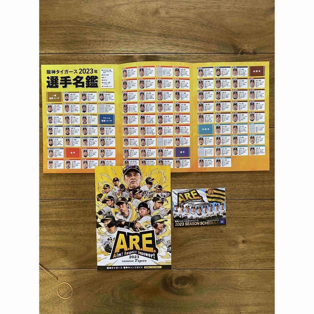 2023JERAセ・リーグ優勝記念 胴上げ似顔絵ブランケットM-