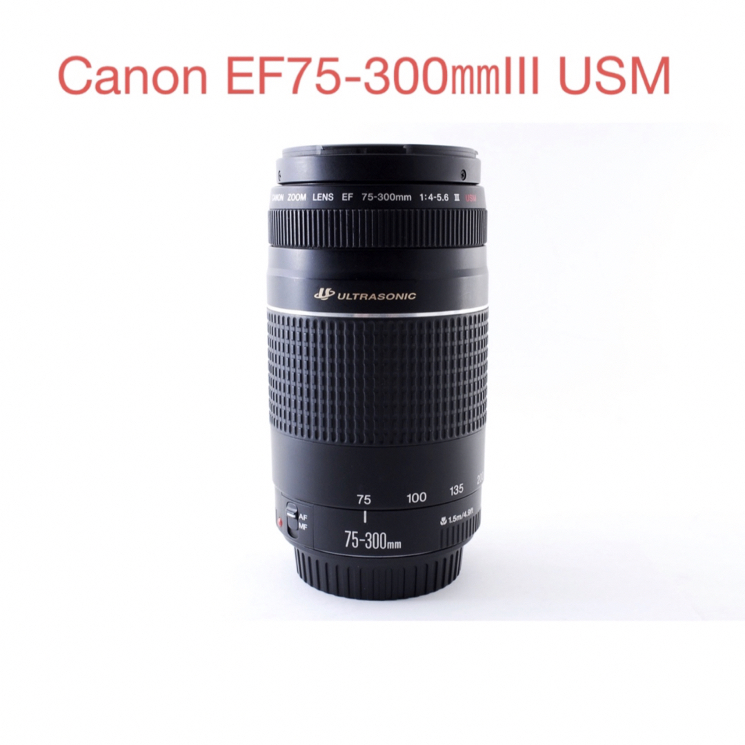 超望遠レンズ ☆極上品☆キャノン☆Canon EF75-300㎜III USM