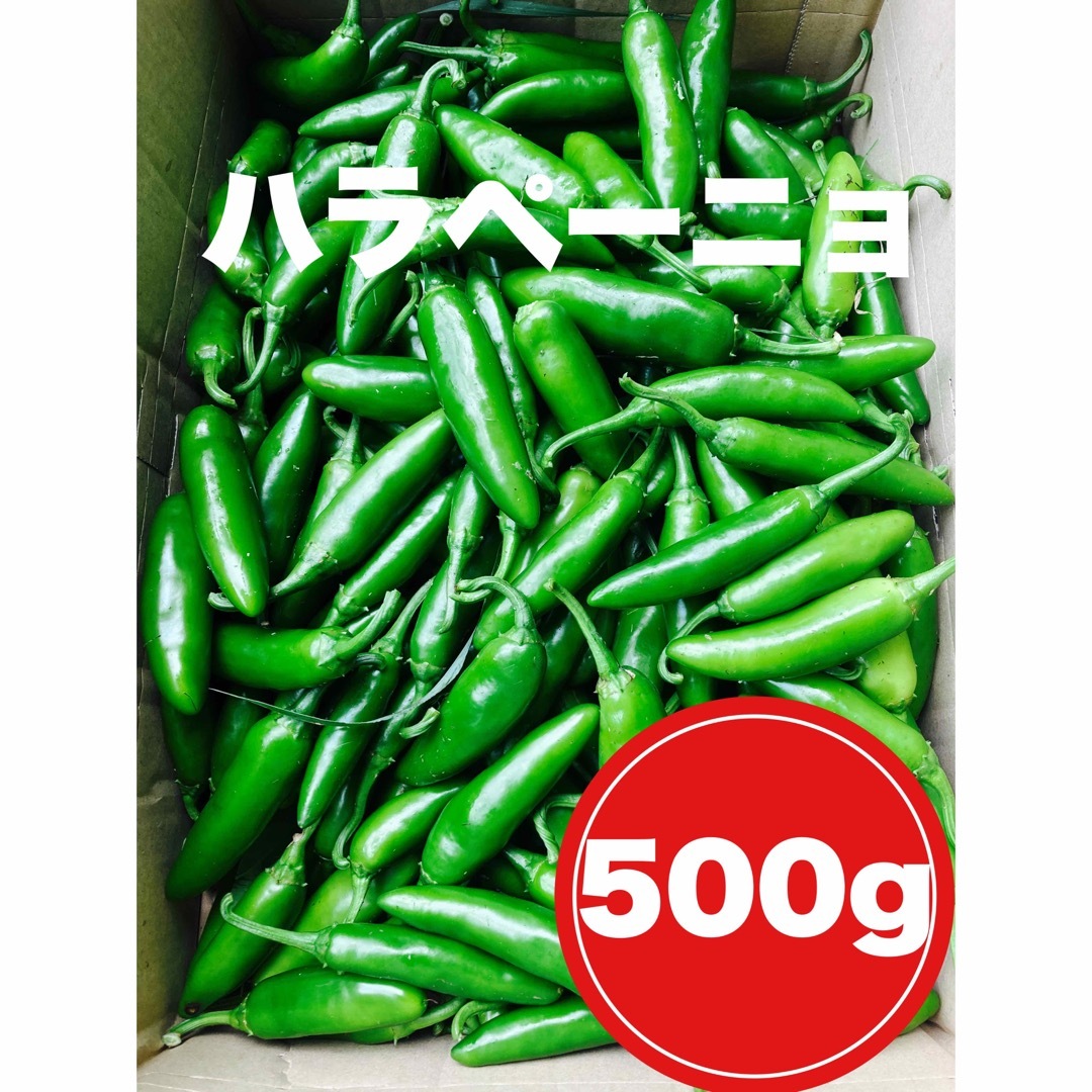 旨辛肉厚ハラペーニョ　500g 食品/飲料/酒の食品(野菜)の商品写真