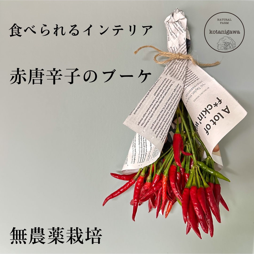 赤唐辛子の花束　完全無農薬　今期収穫 食品/飲料/酒の食品(野菜)の商品写真