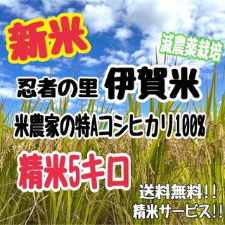 【新米】伊賀米コシヒカリ(農家直送)精米5キロ(米/穀物)