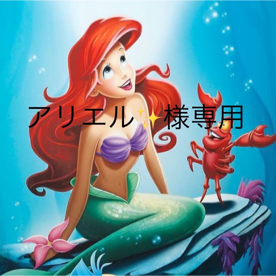 アリエル様 専用 | フリマアプリ ラクマ