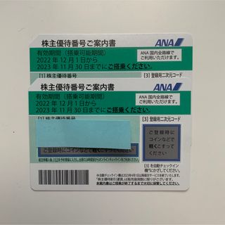 エーエヌエー(ゼンニッポンクウユ)(ANA(全日本空輸))のANA 全日空 株主優待券 2枚(航空券)