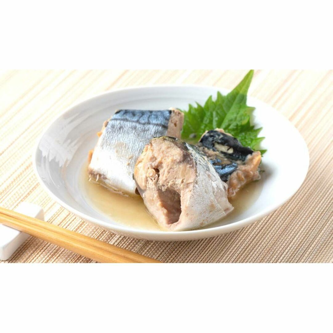 鯖水煮　190g　信田缶詰　魚介　国産　×24個