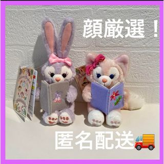 ステラルー(ステラ・ルー)のリーナベル　ステラルー　ぬいぐるみチャーム オータムストーリーブック ディズニー(ぬいぐるみ)