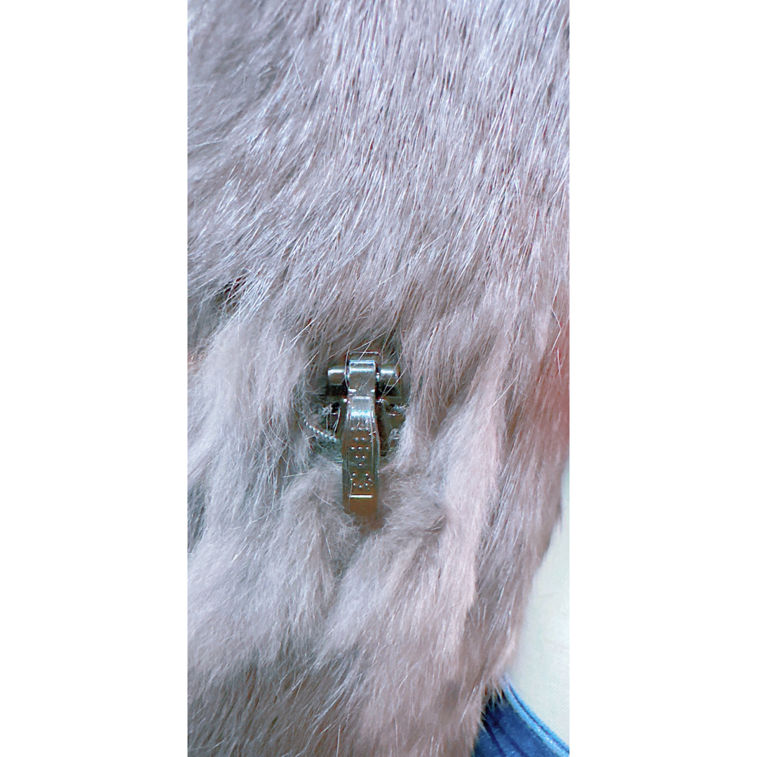 皮毛製品ジャケット メンズのジャケット/アウター(レザージャケット)の商品写真