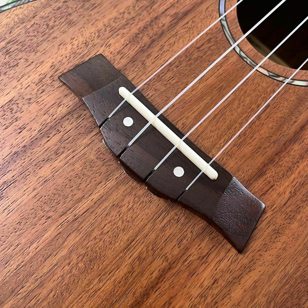 入門セット】music南米産コア材のコンサートウクレレ【ウクレレ専門店】-