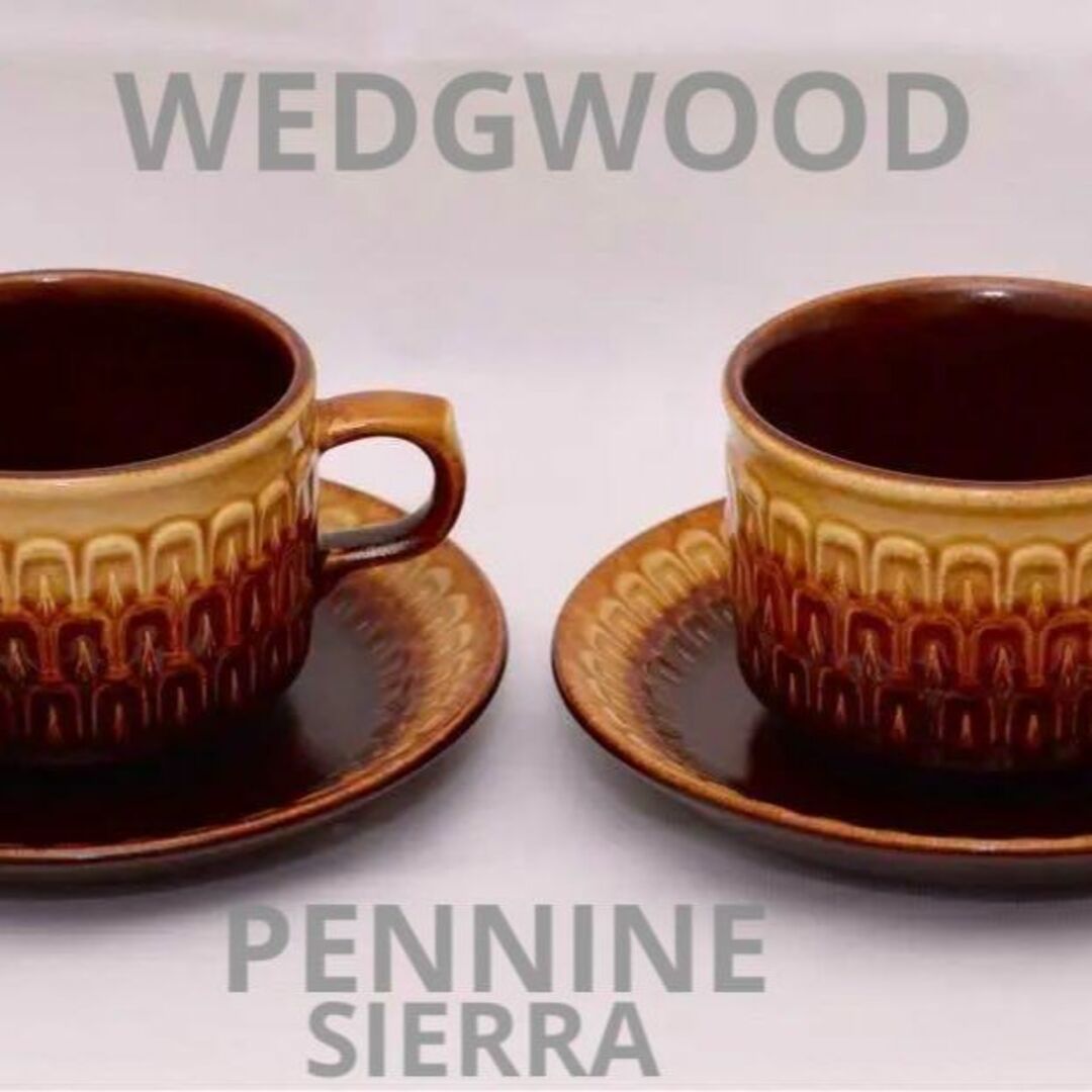 ウェッジウッド ペニーネ シエラ カップ&ソーサー 2客セット - 食器