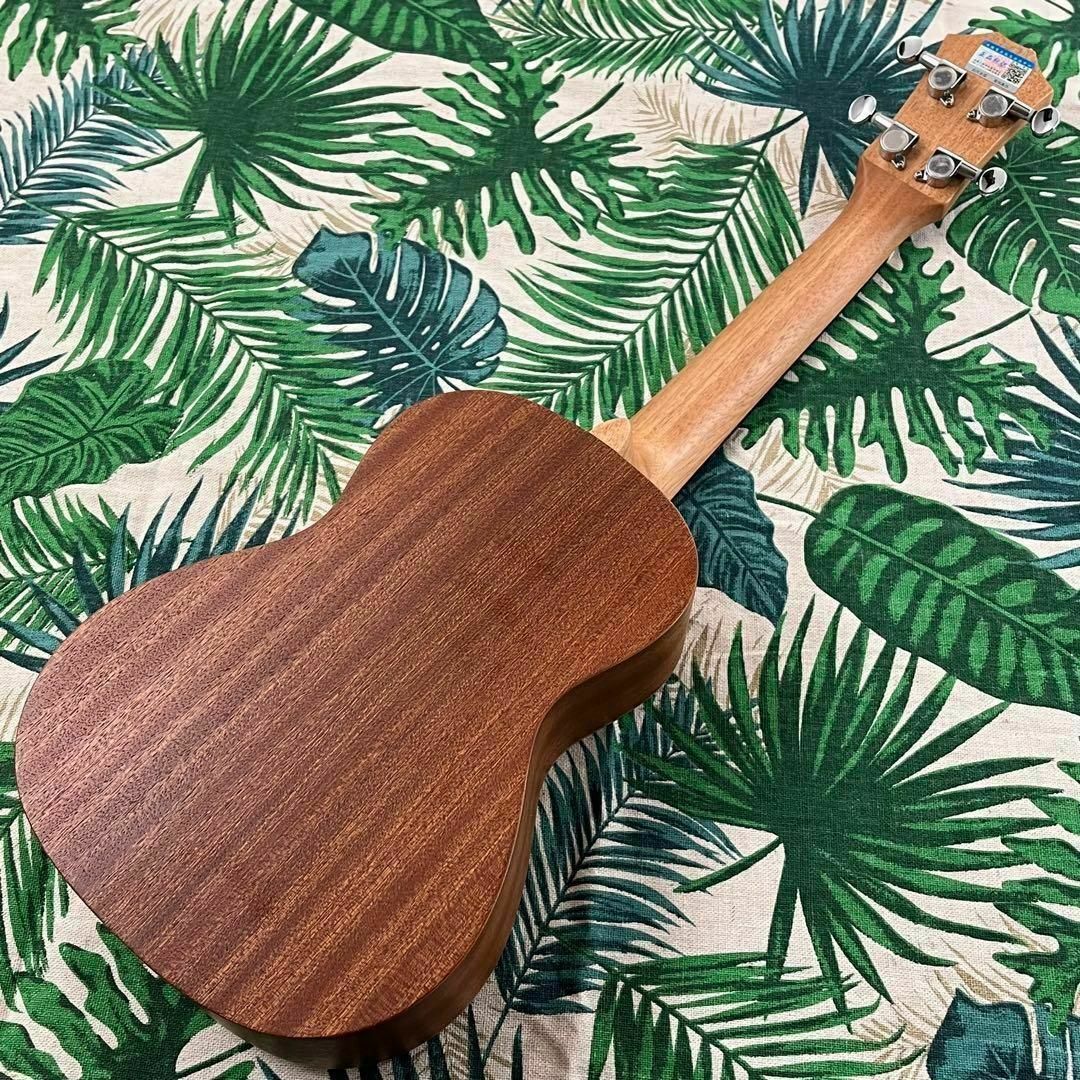 music ukulele】つる薔薇のエレキ・コンサートウクレレ【入門セット】-