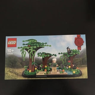 レゴ(Lego)のレゴ ジェーン・グドール博士とチンパンジーの森 40530(知育玩具)
