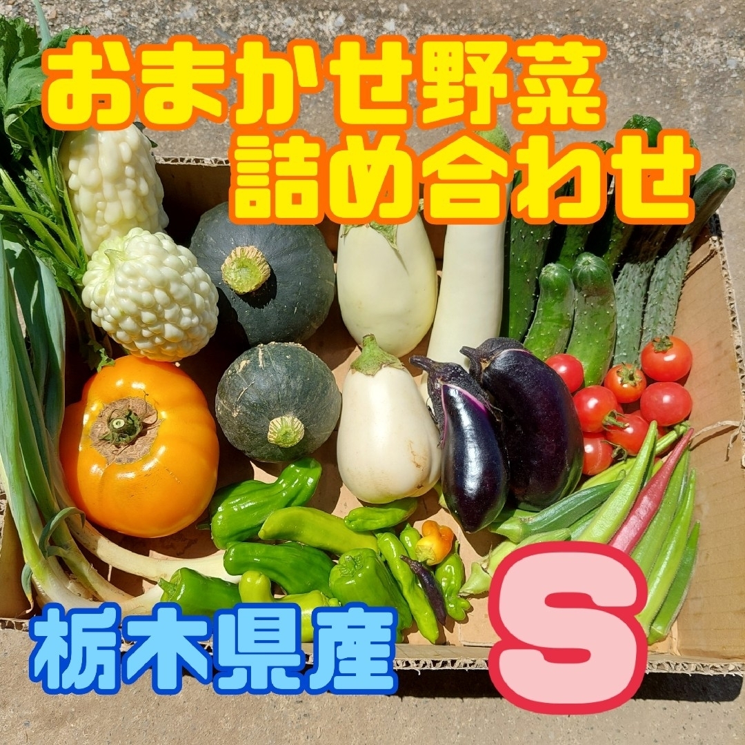 おまかせ野菜詰め合わせBOX【S】 食品/飲料/酒の食品(野菜)の商品写真