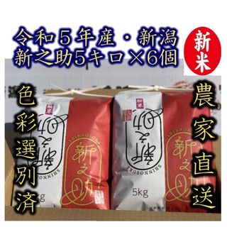 新米・令和5年産　新潟　新之助　白米5kg6個★農家直送★色彩選別済 29(米/穀物)