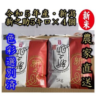 新米　令和5年産　新潟　新之助　白米5kg × 4個★農家直送★色彩選別済14(米/穀物)