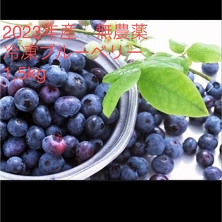 冷凍ブルーベリー　無農薬　1,5kg(フルーツ)