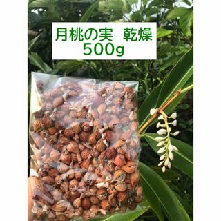 【石垣島産】 月桃茶・実の乾燥　５００ｇ(茶)