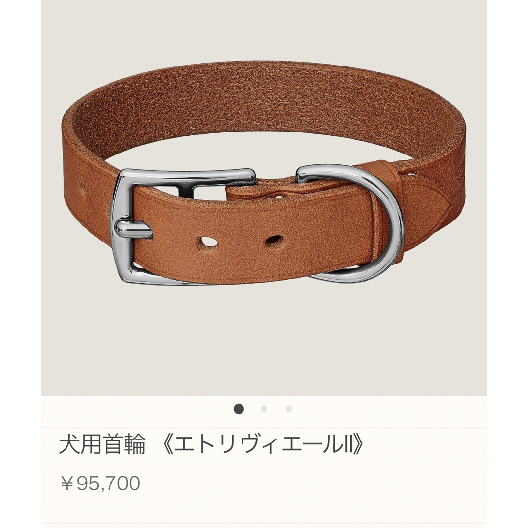 Hermes(エルメス)の【専用】 その他のペット用品(犬)の商品写真