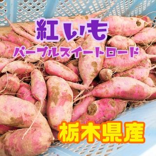 栃木県産　さつま芋【紅いも・パープルスイートロード】(野菜)