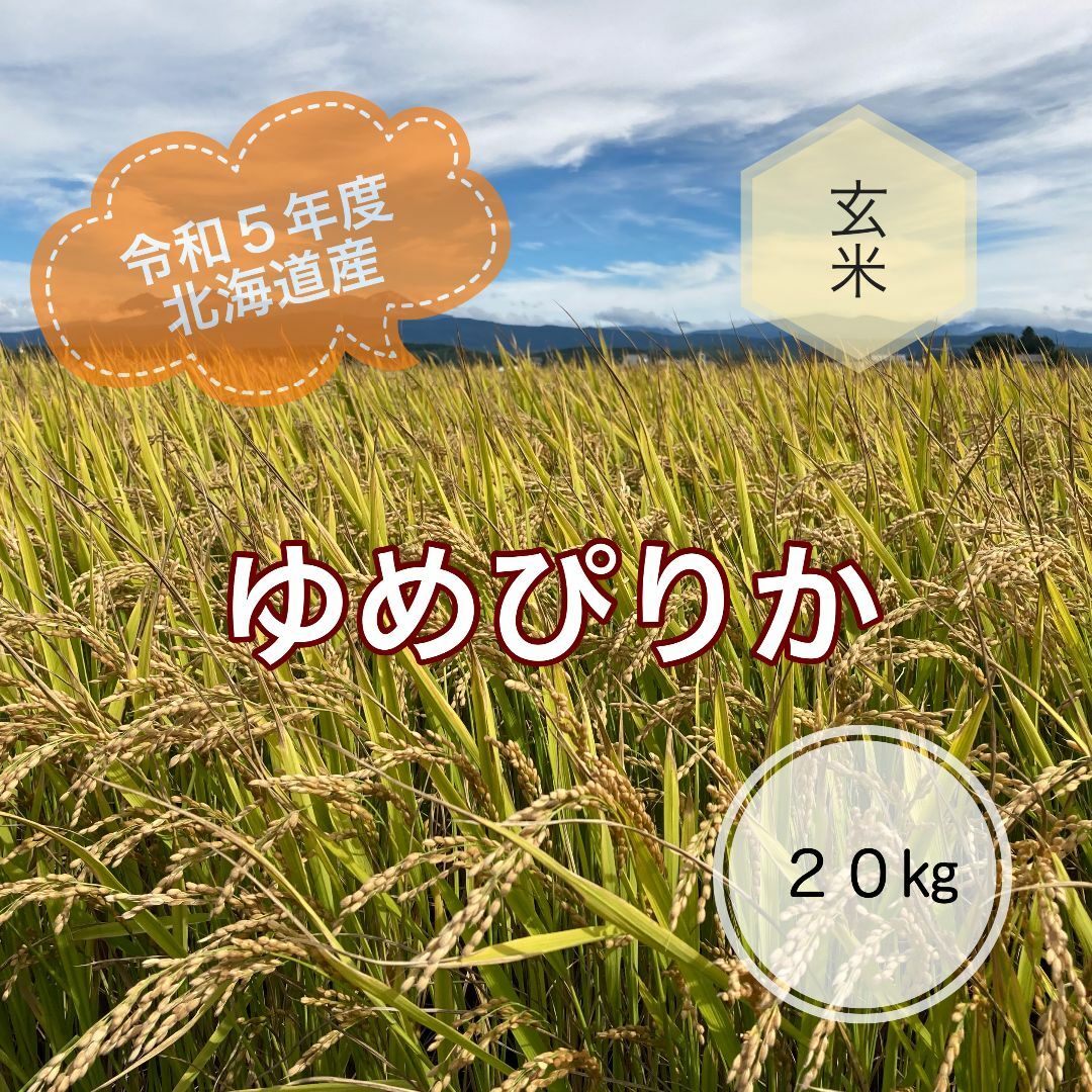 令和5年度北海道産ゆめぴりか玄米20キロ農家直送
