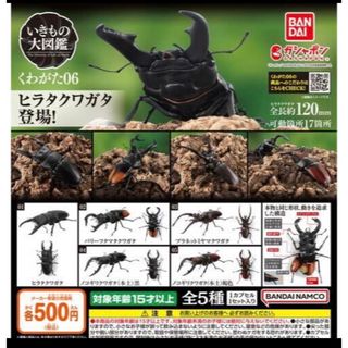 バンダイ(BANDAI)のいきもの大図鑑　クワガタ06(その他)