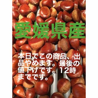 愛媛県産　栗M〜Lサイズ2㎏(フルーツ)