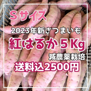千葉県産紅はるか Sサイズ 5Kg(野菜)