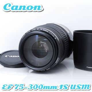Canon - ☆canon EF-S17-55mm F2.8 IS USMの通販 by ちさりん's shop