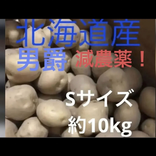 じゃがいも 新じゃが 北海道産 約10kg 農家直送 男爵 Sサイズ(野菜)