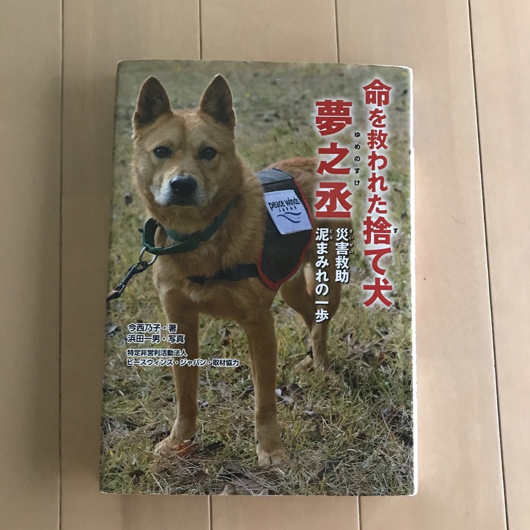 金の星社(キンノホシシャ)の命を救われた捨て犬夢之丞 災害救助泥まみれの一歩 エンタメ/ホビーの本(絵本/児童書)の商品写真