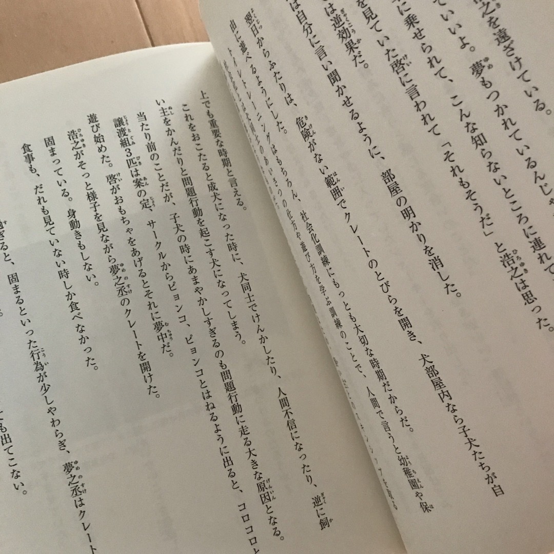 金の星社(キンノホシシャ)の命を救われた捨て犬夢之丞 災害救助泥まみれの一歩 エンタメ/ホビーの本(絵本/児童書)の商品写真