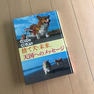 犬関連の児童書(絵本/児童書)