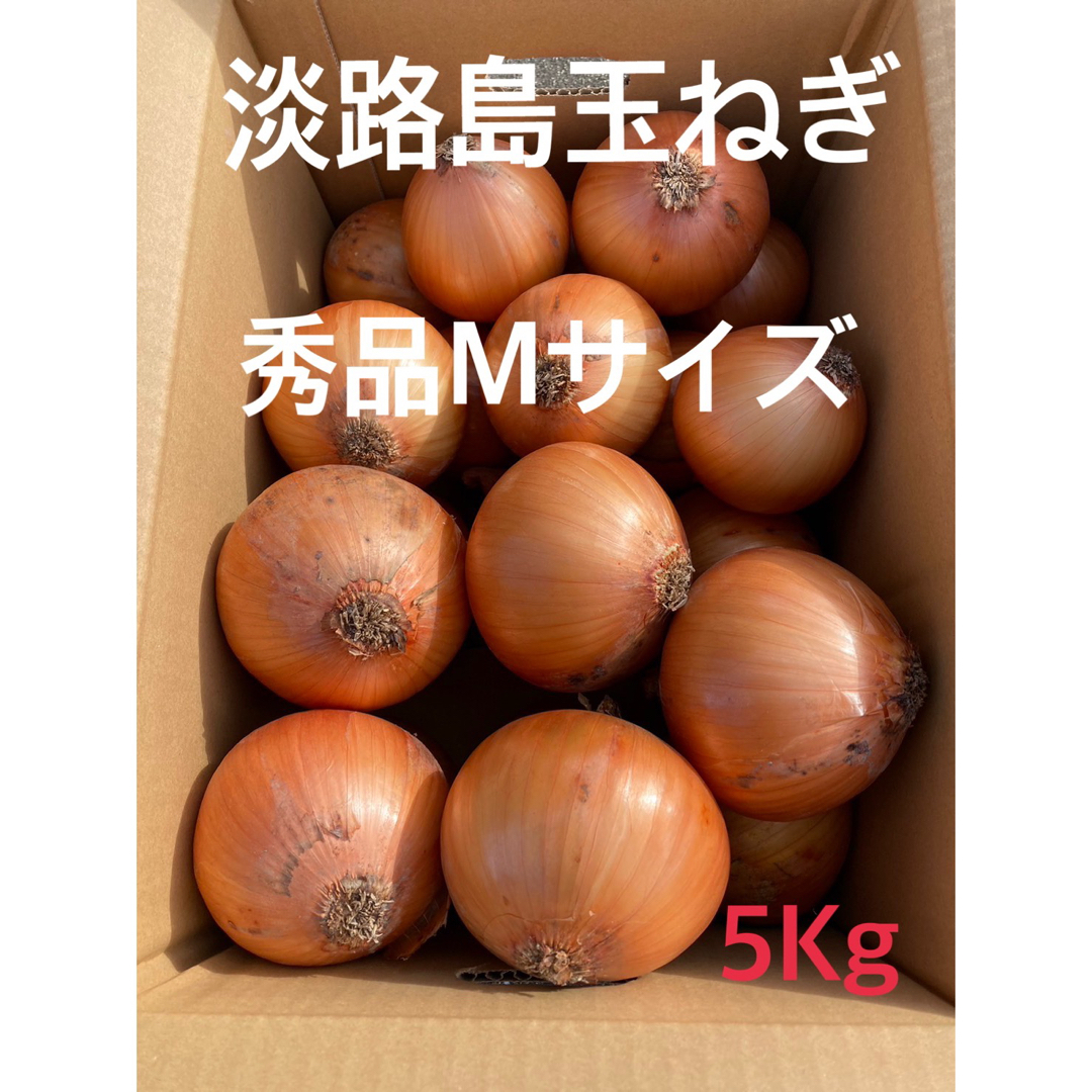 ◉秀品Lサイズ5Kg◉淡路島新玉ねぎ たまねぎ 玉葱 - 野菜