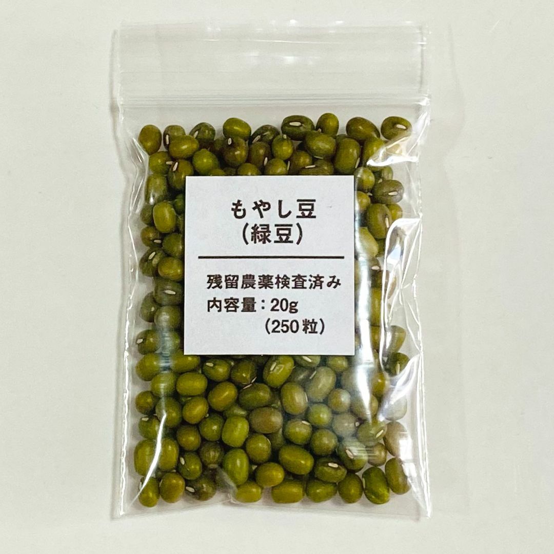 【250粒以上】もやし　緑豆　種 タネ　たね　20g　自由研究 食品/飲料/酒の食品(野菜)の商品写真