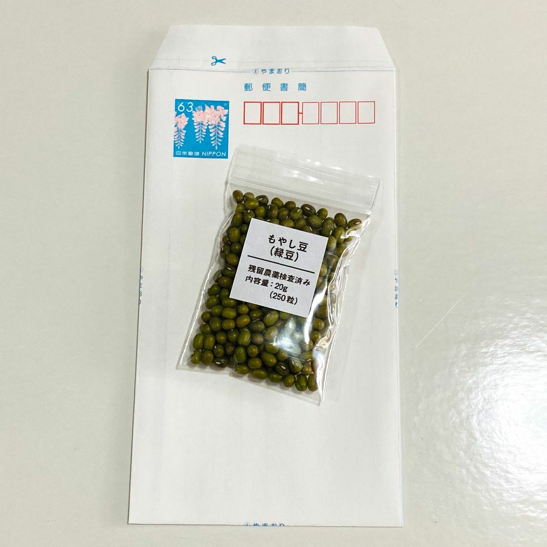 【250粒以上】もやし　緑豆　種 タネ　たね　20g　自由研究 食品/飲料/酒の食品(野菜)の商品写真