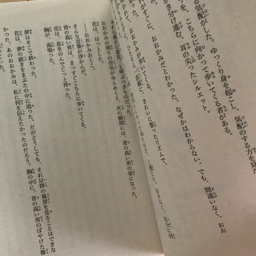 角川書店(カドカワショテン)のおおかみこどもの雨と雪 エンタメ/ホビーの本(その他)の商品写真