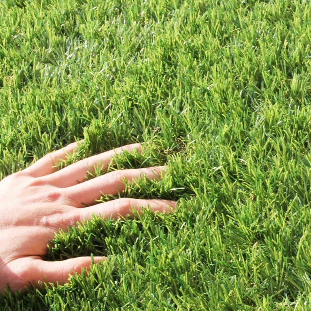 【色: 春秋色グリーン】タンスのゲン 人工芝 ロール 高密度 高耐久 芝丈35m