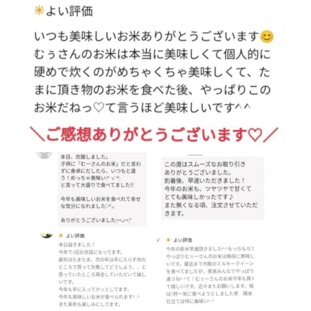 【大人気★即完売するお米】愛媛県産あきたこまち100%　新米５Kg 農家直送 食品/飲料/酒の食品(米/穀物)の商品写真