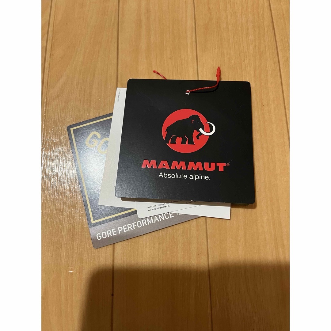 Mammut(マムート)のジャケット メンズのジャケット/アウター(マウンテンパーカー)の商品写真