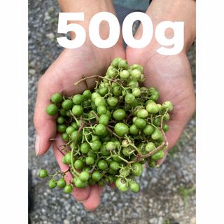 野葡萄　馬ぶどう　500g(野菜)