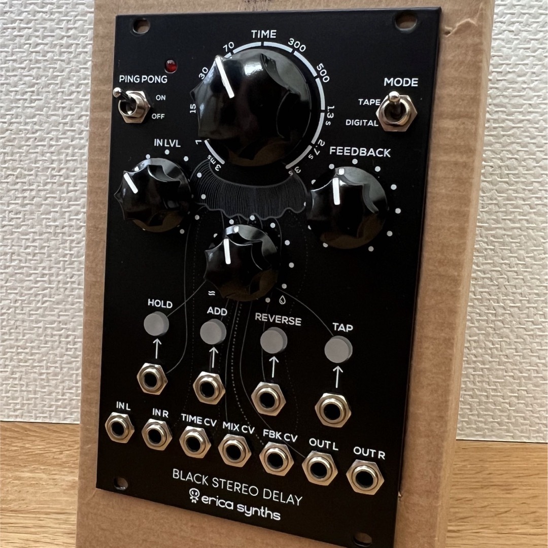 Erica Synths Black Stereo Delay 楽器の鍵盤楽器(キーボード/シンセサイザー)の商品写真